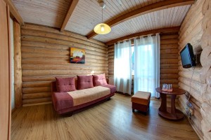 Two-room suite in a log house